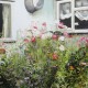 artwork commissions flower bed