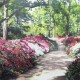 artwork commissions garden path